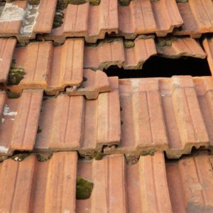 DISO - Roof repair 2